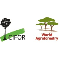 CIFOR-ICRAF